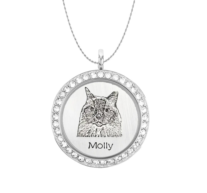 Personalize Pet Fur Necklace, Custom Memorial Pet Hair Locket Necklace with Engrave Photo